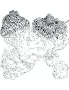 Quartabe - Licao n.2: Dorival