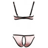 Half-Cup Set