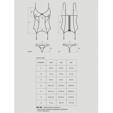 Musca corsetto & perizoma