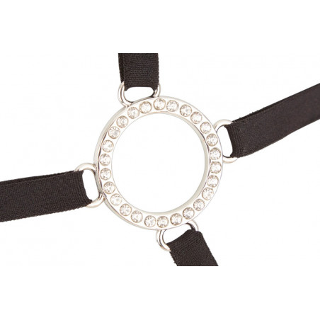 Suspender Set naked breasts