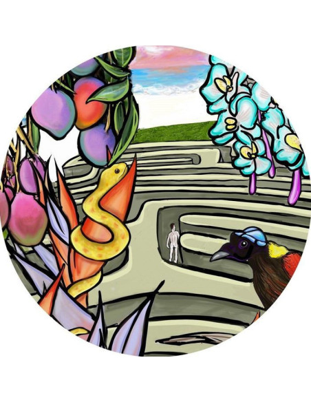 Jona Jefferies - Jona Jefferies-Lost In Paradise (INCL. MAX ESSA / EDDIE C REMIXES)