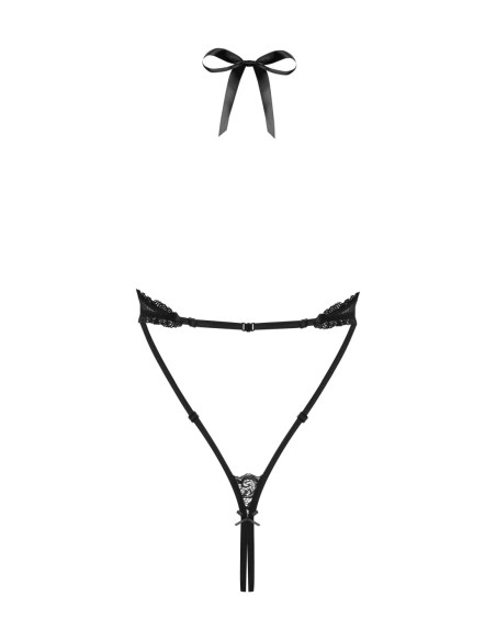 830-TED-1 body