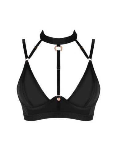 Brasica reggiseno