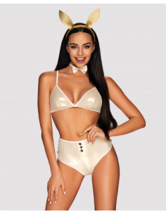 Erotic bunny costume