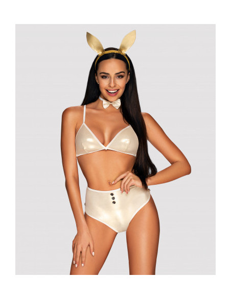 Erotic bunny costume