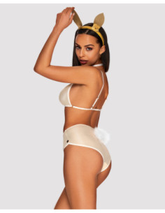 Erotic bunny costume 2