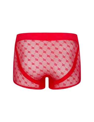 Obsessiver boxer