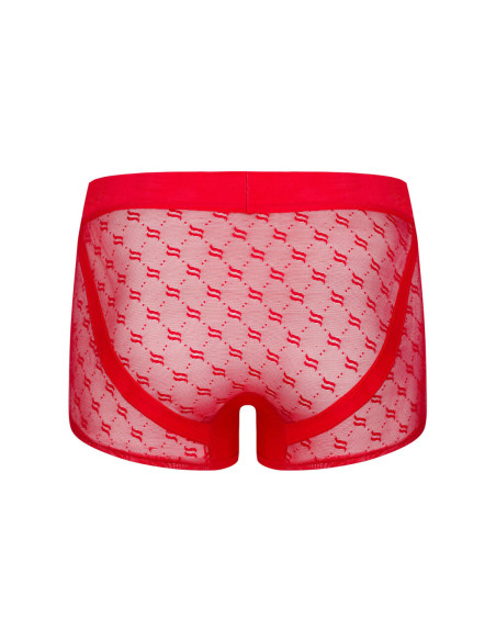 Obsessiver boxer
