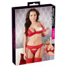 Set Reggiseno Con Reggicalze Rosse Liva