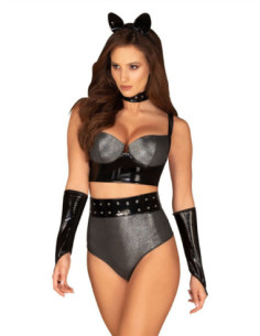 Sexy costume