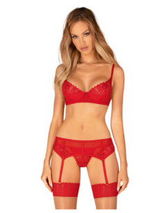 Red set with garter belt