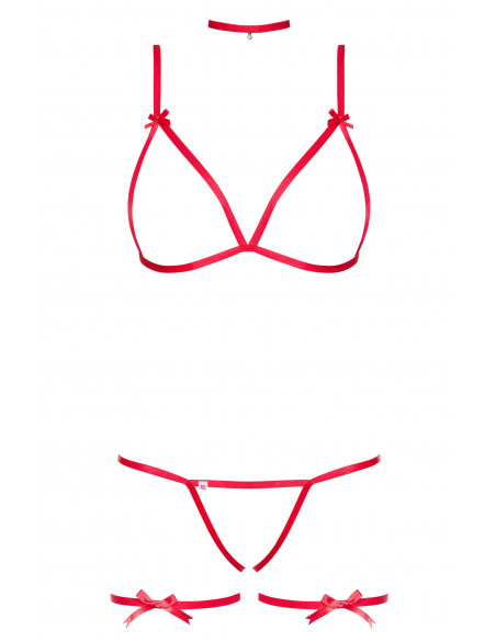 Santasia Sexy Set